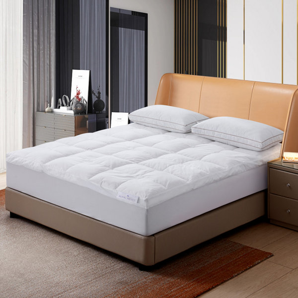 Alwyn Home Belchers 5'' Mattress Topper Wayfair